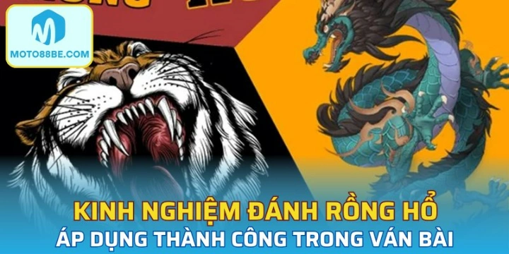 Kinh nghiệm đánh bài cực hay từ chuyên gia