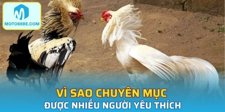 Vì sao chuyên mục được nhiều người yêu thích