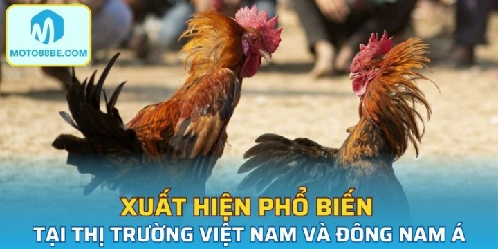 Xuất hiện phổ biến tại thị trường Việt Nam và Đông Nam Á
